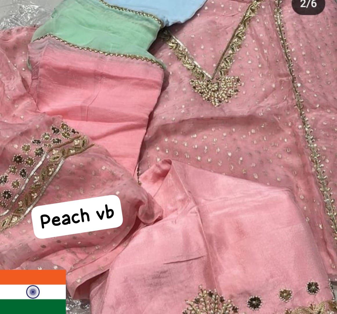 Organza Suit with Punjabi lace